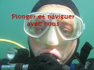 Plongeur fou anonymus